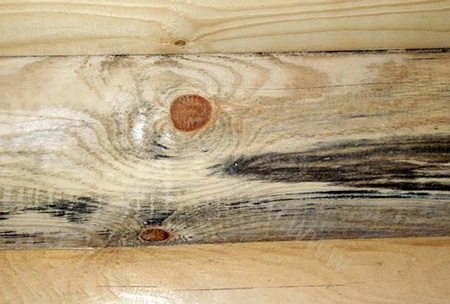 Чтобы деревянная поверхность выглядела красиво после окрашивания, необходимо осмотреть дерево на наличие мест с грибковым поражением и устранить таковое при обнаружении