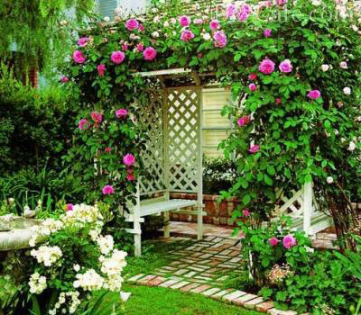 Для скромного по размерам садового участка отлично подойдет арка, декорированная вьющимися растениями. На большой территории можно установить большой навес со скамьей или качелями.