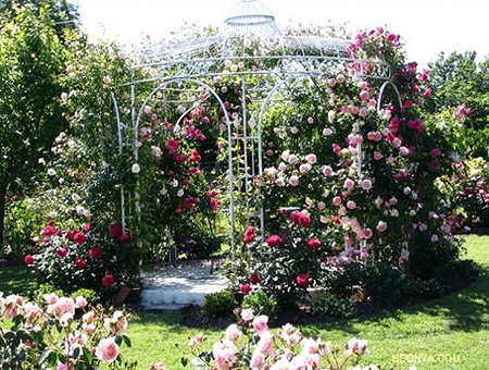 Дополнительный декор – вьющиеся розы, наполняющие воздух ароматом, создающие тень